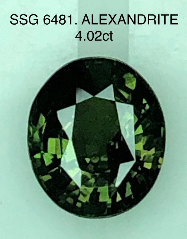 SSG6481 Alexandrite
