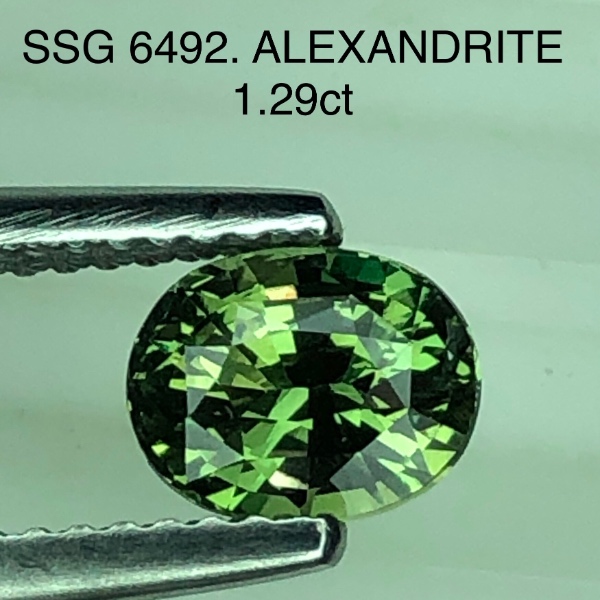 SSG6492 Alexandrite