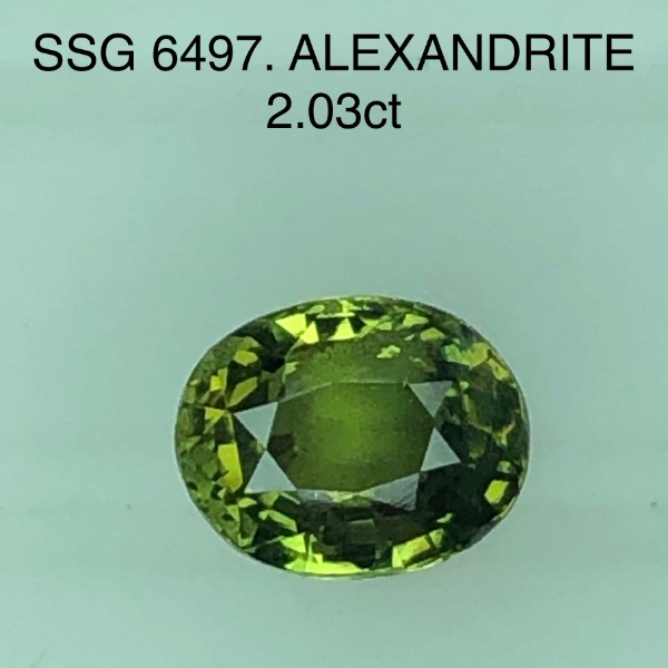 SSG6497  Alexandrite