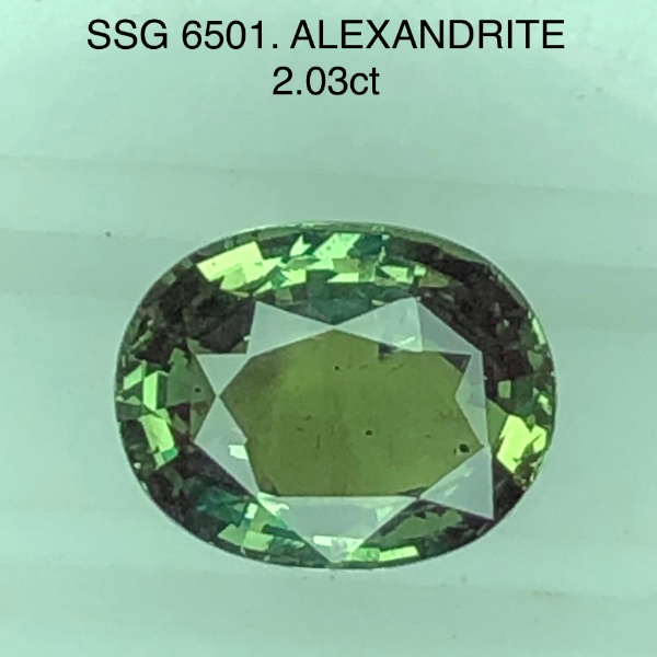 SSG6501 Alexandrite