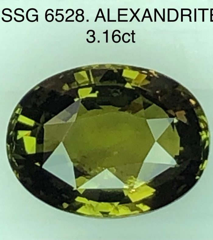 SSG6528 Alexandrie
