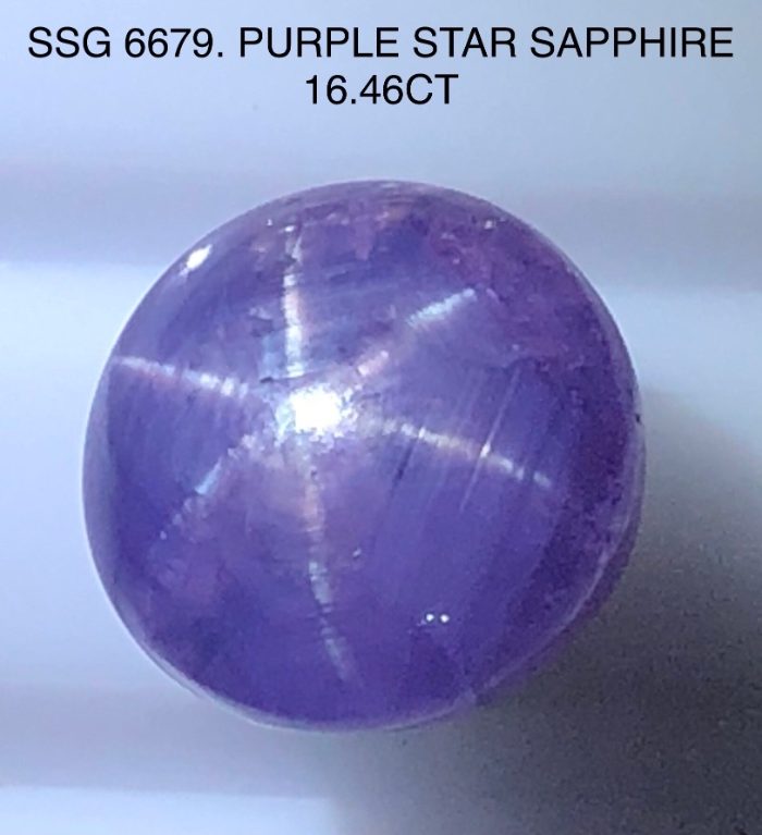 SSG6679 Purple Star Sapphire